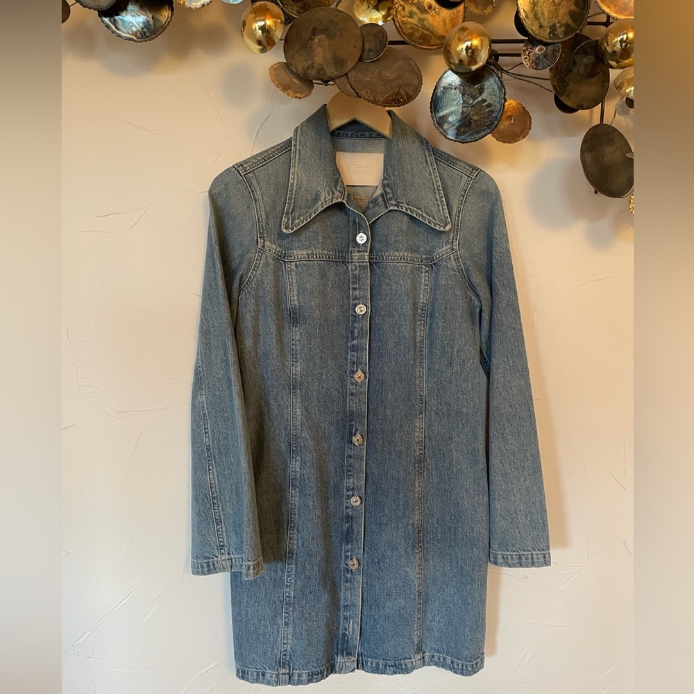 Citizen of humanity denim dress